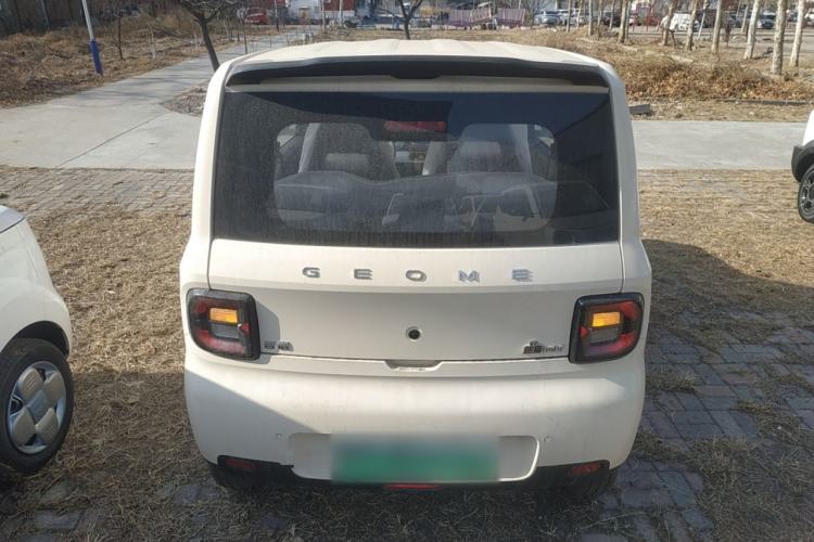 Used  Panda 2025 210 km – Yuanqi Bear
