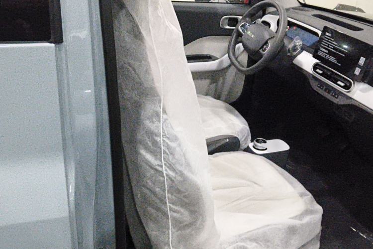 Used  Panda 2025 210km Panda Kart
