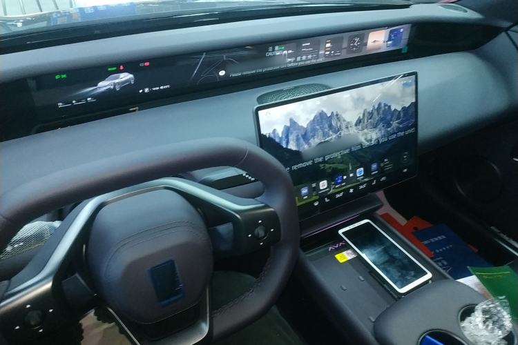 Used  06 2025 Max All-Electric Version
