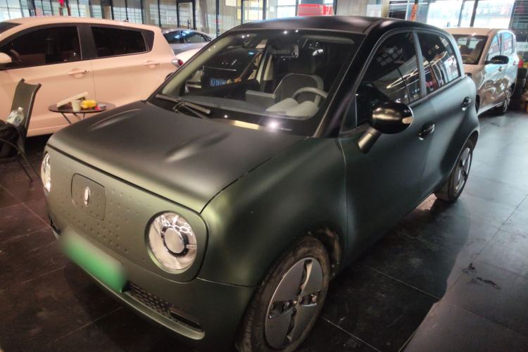 Used ORA Black Cat 2022 Updated Version 301 km Cute Pet Edition Lithium Iron Phosphate