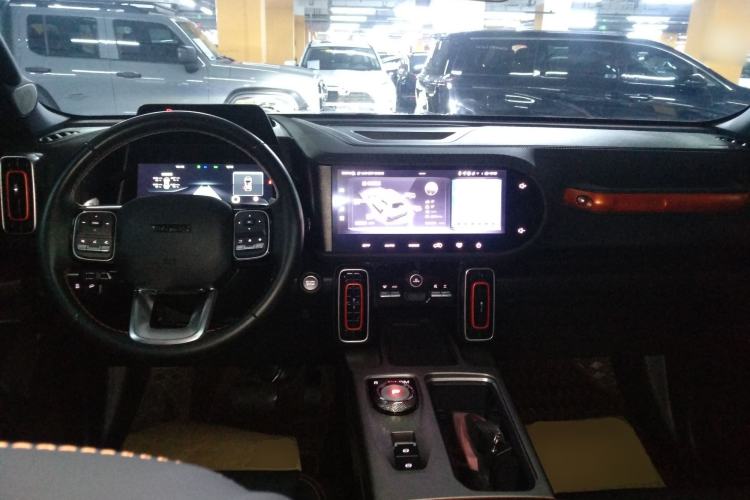 Used Haval DARGO 2024 2.0T DCT Chinese Rural Dog Edition
