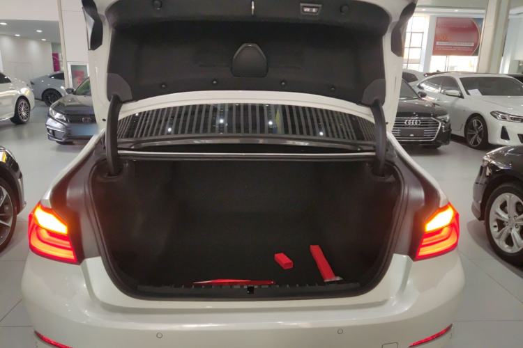 Used BMW 5 Series 2020 530Li Leading Edition Luxury Package
