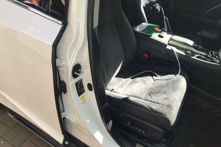 Used Lexus RX 2016 300 Two-Wheel Drive Elite Version China V Standard
