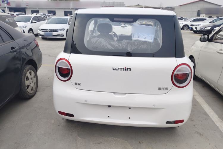 Used  Lumin 2025 205 km Xiangqin Version