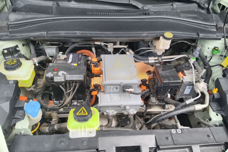 Used ORA Good Cat 2023 401 km Standard Range Luxury Version Lithium Iron Phosphate
