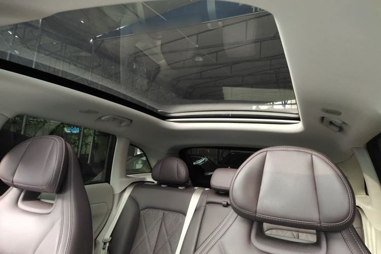 Used Leapmotor C11 2024 Range-Extended 300 Luxury Edition