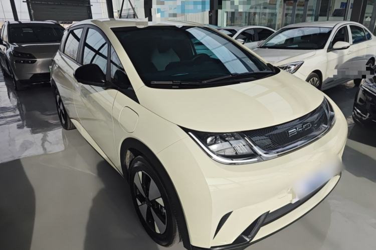 Used BYD Dolphin 2023 420 km Free Version

