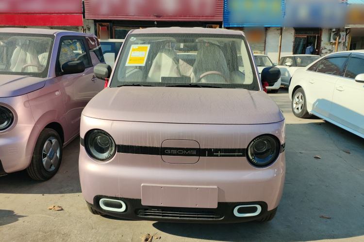 Used  Panda 2025 210 km – Yuanqi Bear
