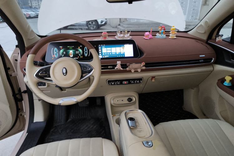 Used ORA Good Cat 2023 401 km Standard Range Luxury Version Lithium Iron Phosphate