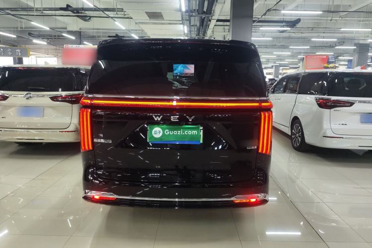 Used Wey Gaoshan 2025 Four-Wheel Drive Alpine 9