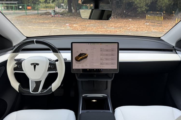 Used Tesla Model Y 2022 Revised Version Long-Range All-Wheel Drive
