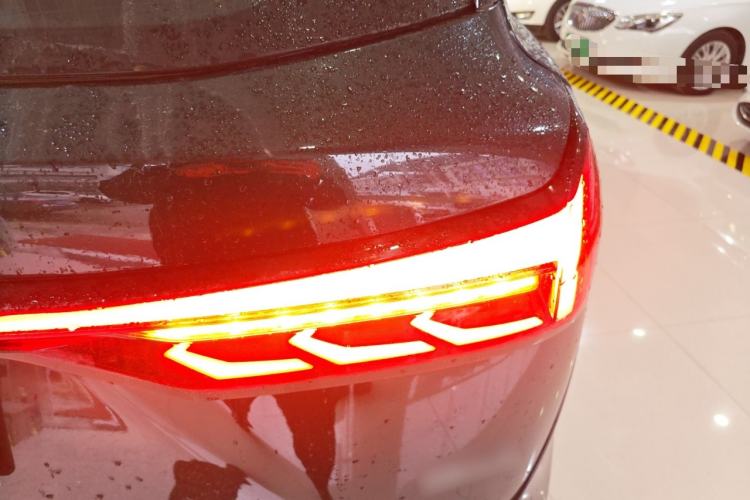 Used  E5 PLUS 2025 120km Standard Travel Custom Edition 7 Seats
