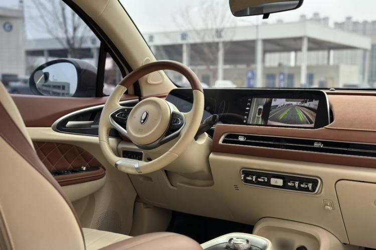 Used ORA Good Cat 2021 400km Standard Range Venus Edition Lithium Iron Phosphate
