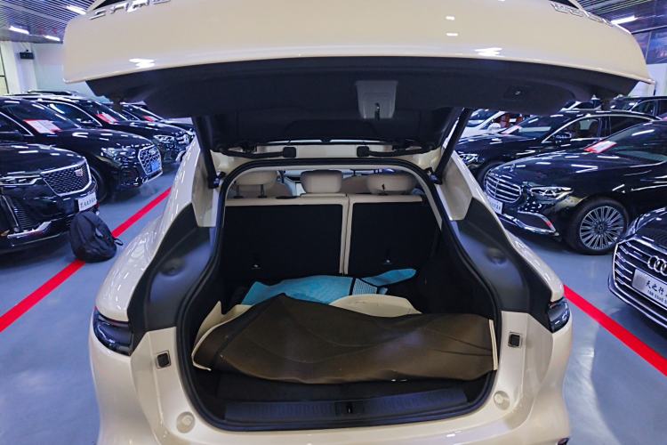 Used  LS6 2023 Max Long-Range Version
