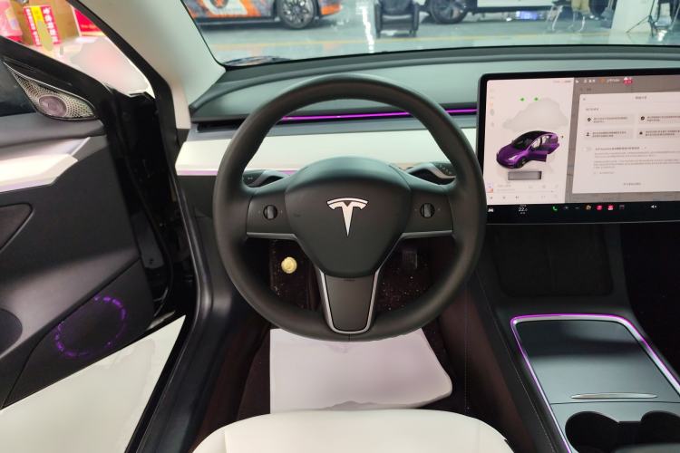 Used Tesla Model 3 2022 Rear-Wheel-Drive Version