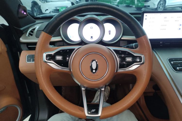 Used ORA Lightning Cat 2022 555 km Luxury Edition