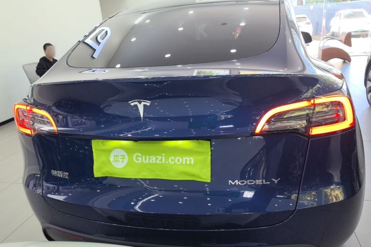 Used Tesla Model Y 2021 Standard Range Rear-Wheel Drive Version
