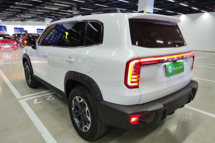Used Haval DARGO 2024 2.0T DCT Chinese Rural Dog Edition