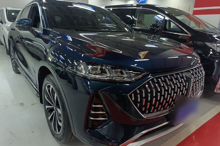 Used Wey Mocha 2021 2.0T Two-Wheel-Drive Premium Edition
