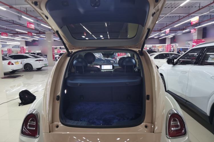 Used ORA Ballet Cat 2022 401 km Nutcracker Edition
