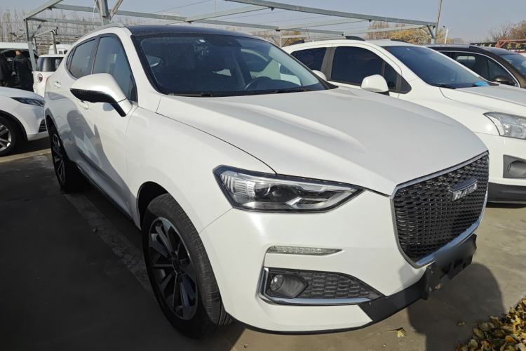 Used Haval F5 2019 National Trend Edition 1.5T i-Trend China VI Standard
