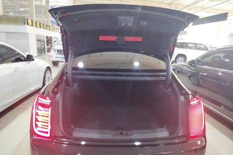 Used Hongqi H9 2020 2.0T Smart Connect Flagship Edition
