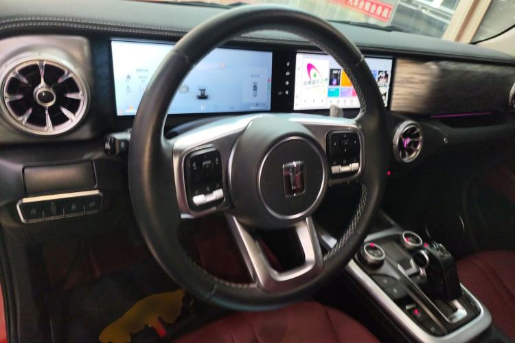 Used Tank 300 2024 2.0T Crosser