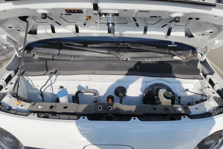 Used  Panda 2025 210 km – Yuanqi Bear
