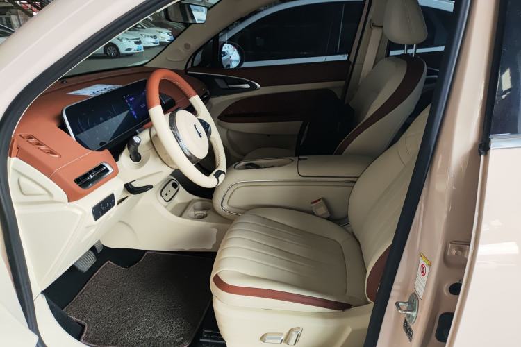 Used ORA Good Cat 2023 401 km Standard Range Luxury Version Lithium Iron Phosphate
