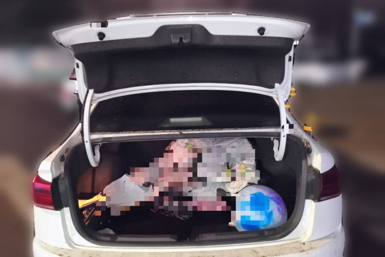 Used Volkswagen Bora 2019 Revised Version 1.5L Automatic Comfort Edition China VI Standard