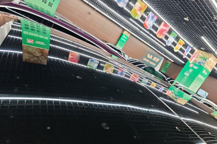 Used Li Auto L9 2023 Pro Model
