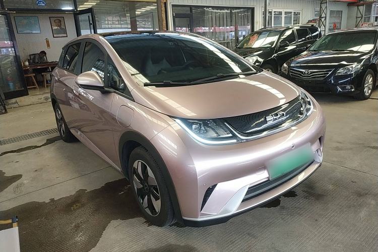 Used BYD Dolphin 2024 Honor Edition 420km Fashion Version