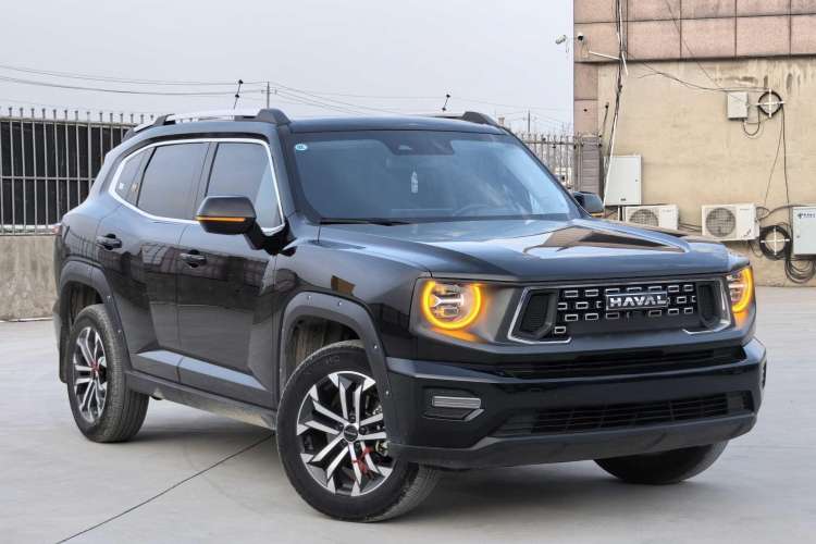 Used Haval  2023 2.0T Two-Wheel Drive Chaoye Version Plus