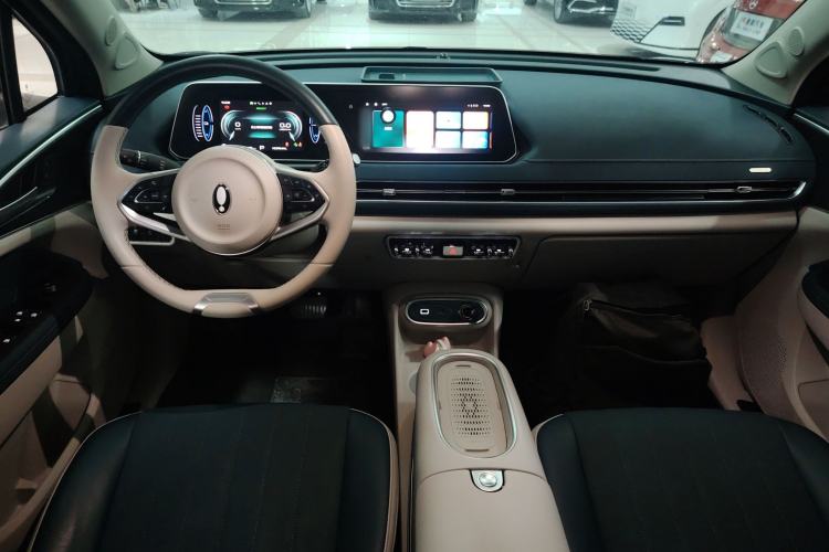 Used ORA Good Cat 2023 401 km Standard Range Luxury Version Lithium Iron Phosphate