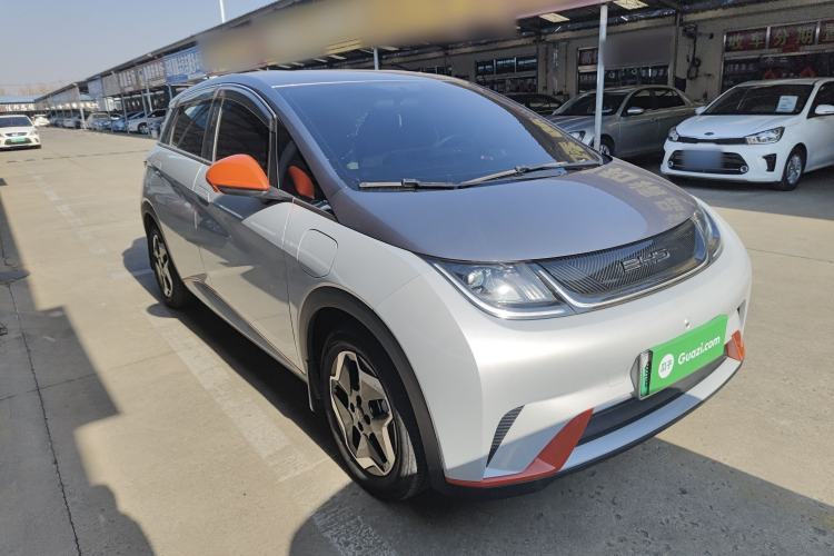 Used BYD Dolphin 2021 405 km Free Version
