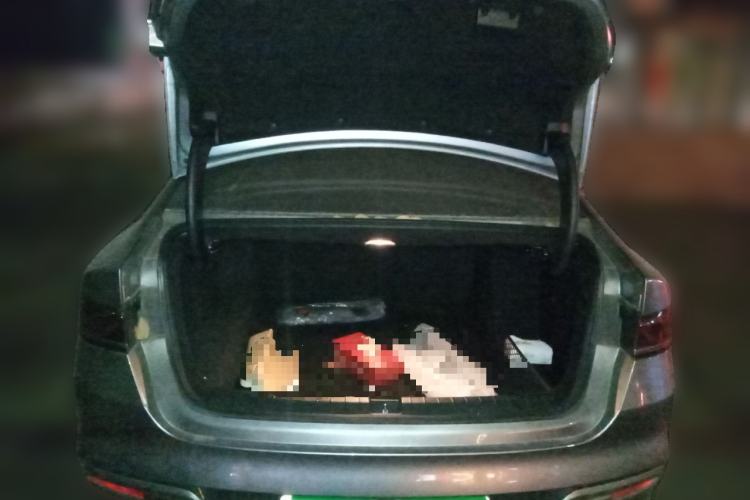 Used BYD Qin PLUS 2023 Champion Edition DM-i 120KM Leading Model