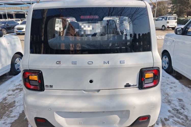 Used  Panda 2024 Panda Mini 200km Endurance Bear