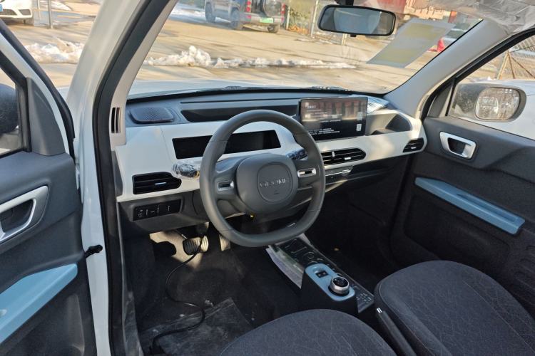 Used  Panda 2024 Panda Mini 200km Endurance Bear