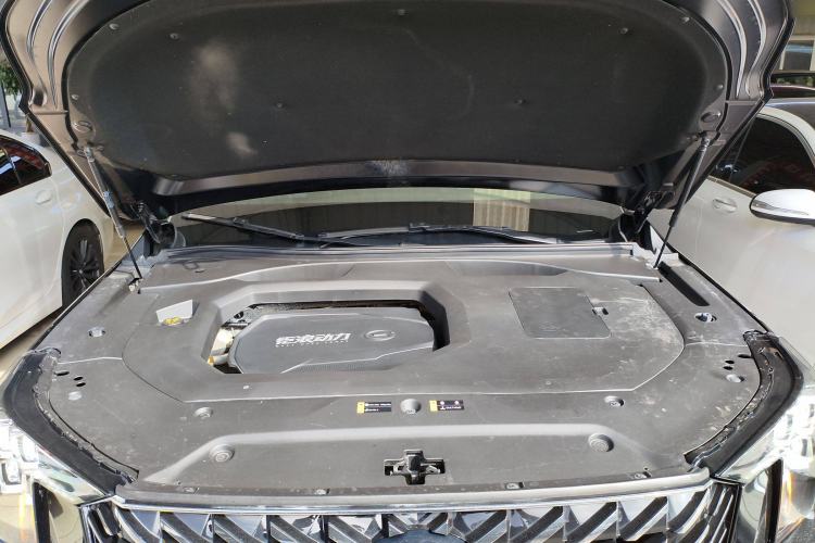 Used GAC Trumpchi GS8 2022 LINGHANG Series 2.0 TGDI Two-Wheel-Drive Luxury Edition (7 Seats)