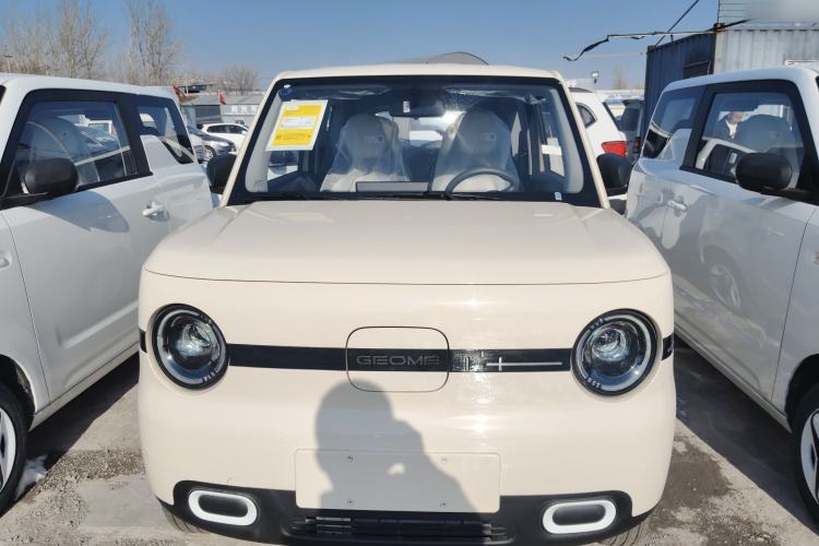 Used  Panda 2025 210 km – Yuanqi Bear
