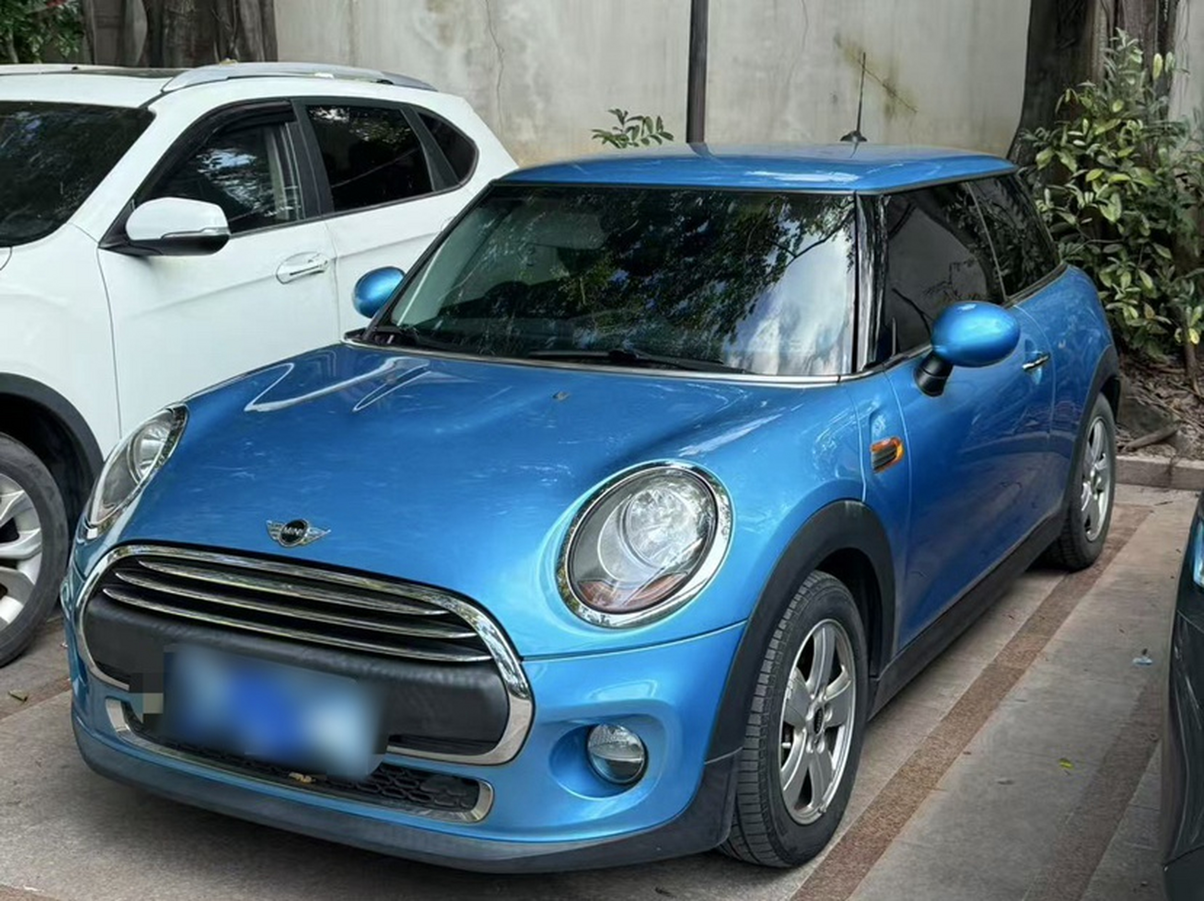 تحت مقدمة السيارة