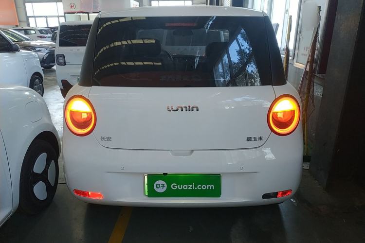 Used Qiyuan Lumin 2025 205 km Xiangqin Version
