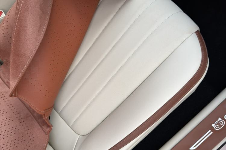 Used ORA Good Cat 2023 401 km Standard Range Luxury Version Lithium Iron Phosphate
