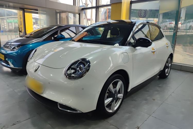 Used ORA Good Cat 2021 400km Standard Range Athena Edition Lithium-Ion Battery