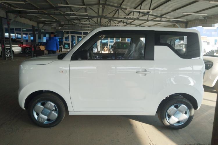 Used  Panda 2024 Panda Mini 200km Endurance Bear
