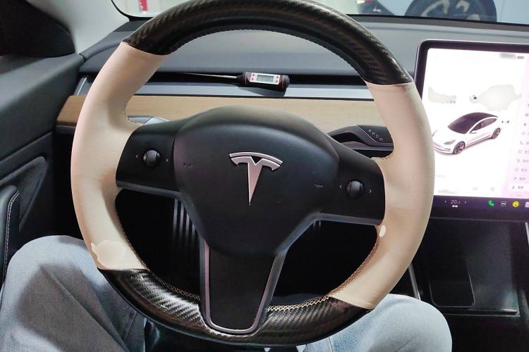 Used Tesla Model 3 2019 Long-Range All-Wheel-Drive Version
