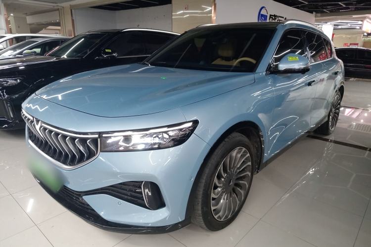 Used VOYAH FREE 2021 Four-Wheel Drive Standard Range-Extended Exclusive Luxury Package
