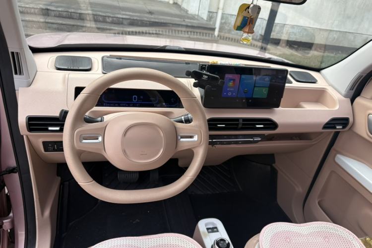 Used  Panda 2023 Panda Mini 200km Endurance Bear