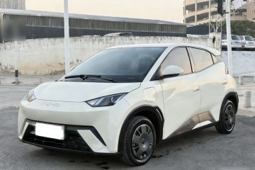 Used BYD Seagull 2025 305km Active Version