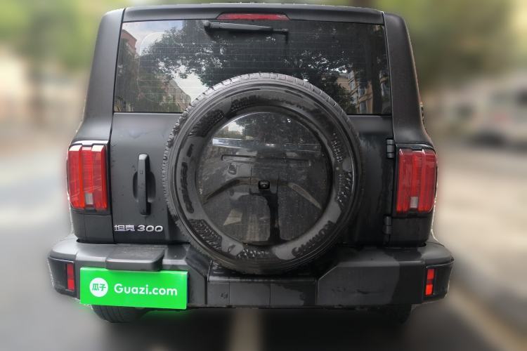 Used Tank 300 2024 2.0T Challenger
